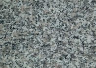 G 623ローザ ベータ中国ビアンコSardoの灰色白の薄い灰色の白い花こう岩の石は平板をタイルを張ります