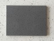 プレハブの固体石造りのカウンタートップ色/原料の任意習慣の切口