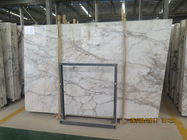 美しく白い色の自然な大理石の床タイル1.8 Cmの厚さの大きい平板